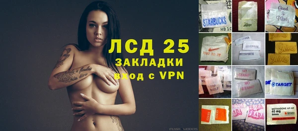 хмурый Алексин