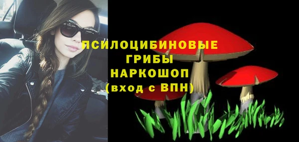 прущий лед Алзамай