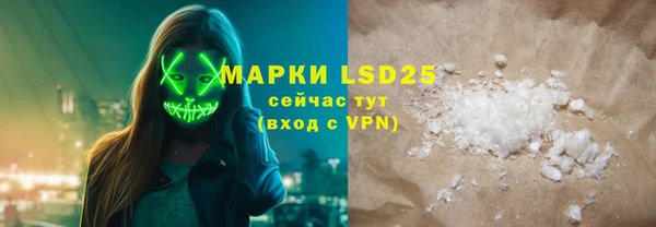 хмурый Алексин