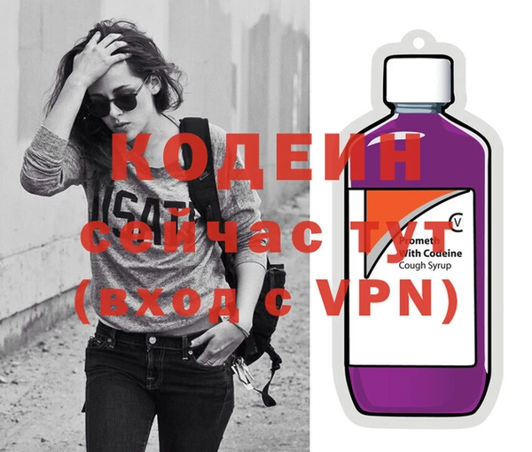 хмурый Алексин