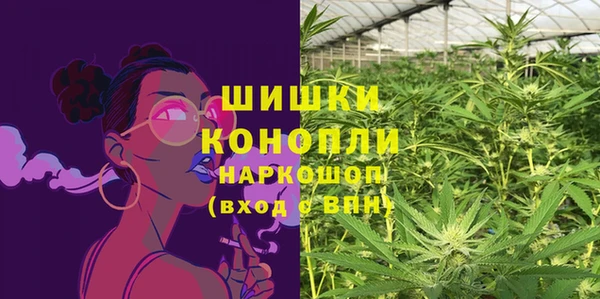 ГАЛЛЮЦИНОГЕННЫЕ ГРИБЫ Нязепетровск