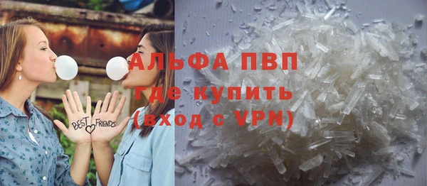 хмурый Алексин