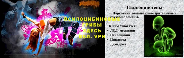 хмурый Алексин