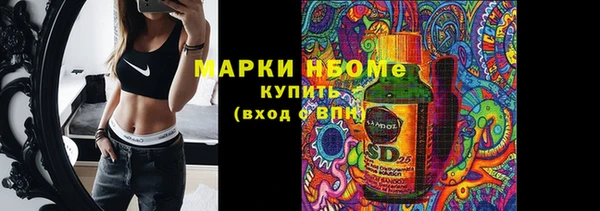 хмурый Алексин