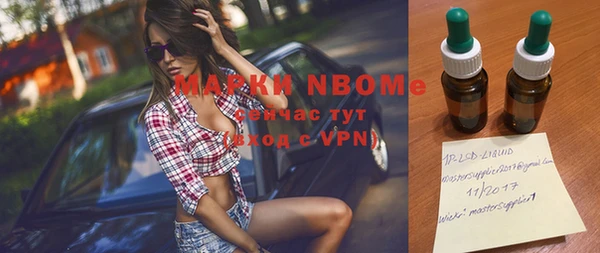 хмурый Алексин